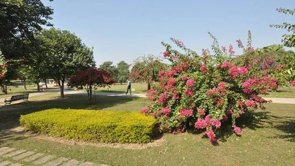 Bougainvillea arches and bowers at the Bougainvillea Garden, near Hotel The Black Gold Chandigarh