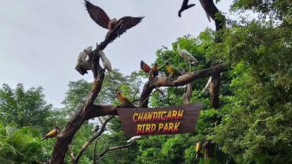 Walk-through aviary at Chandigarh Bird Park, near Hotel The Black Gold Chandigarh