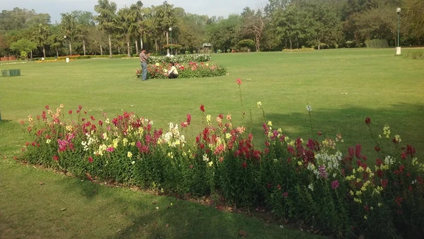 Flowering shrubs at the Garden of Fragrance, near Hotel The Black Gold Chandigarh