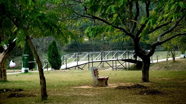 Green walking paths at Leisure Valley, near Hotel The Black Gold Chandigarh